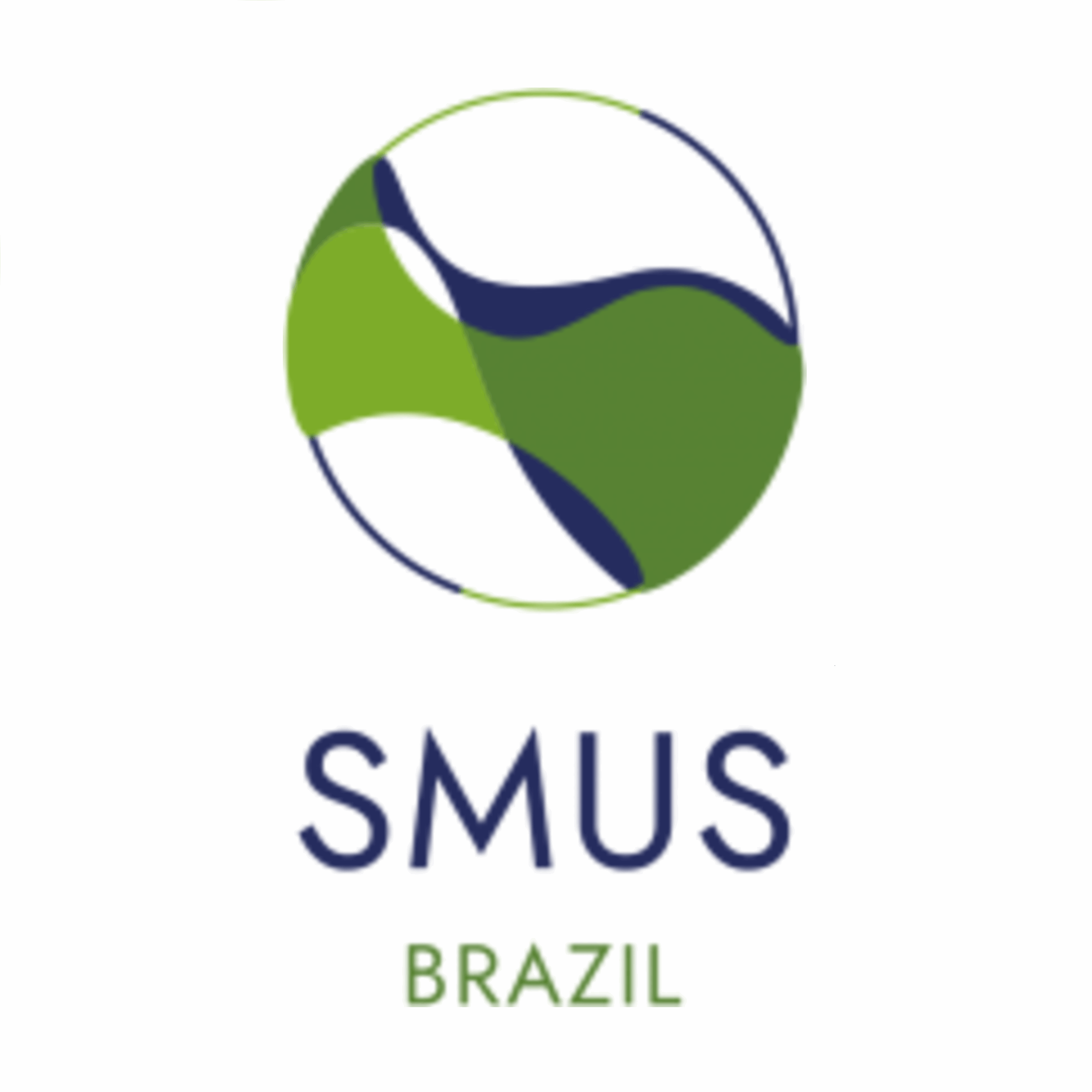 Global Center of Spatial Methods for Urban Sustainability